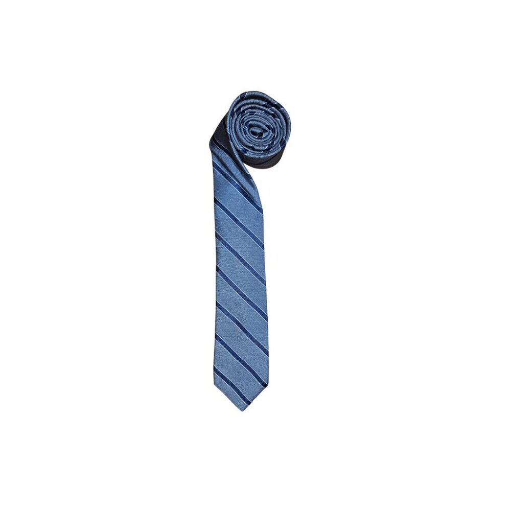DKNY Gray and Blue Striped Pure Silk Skinny Tie